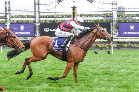 Midas Flemington .